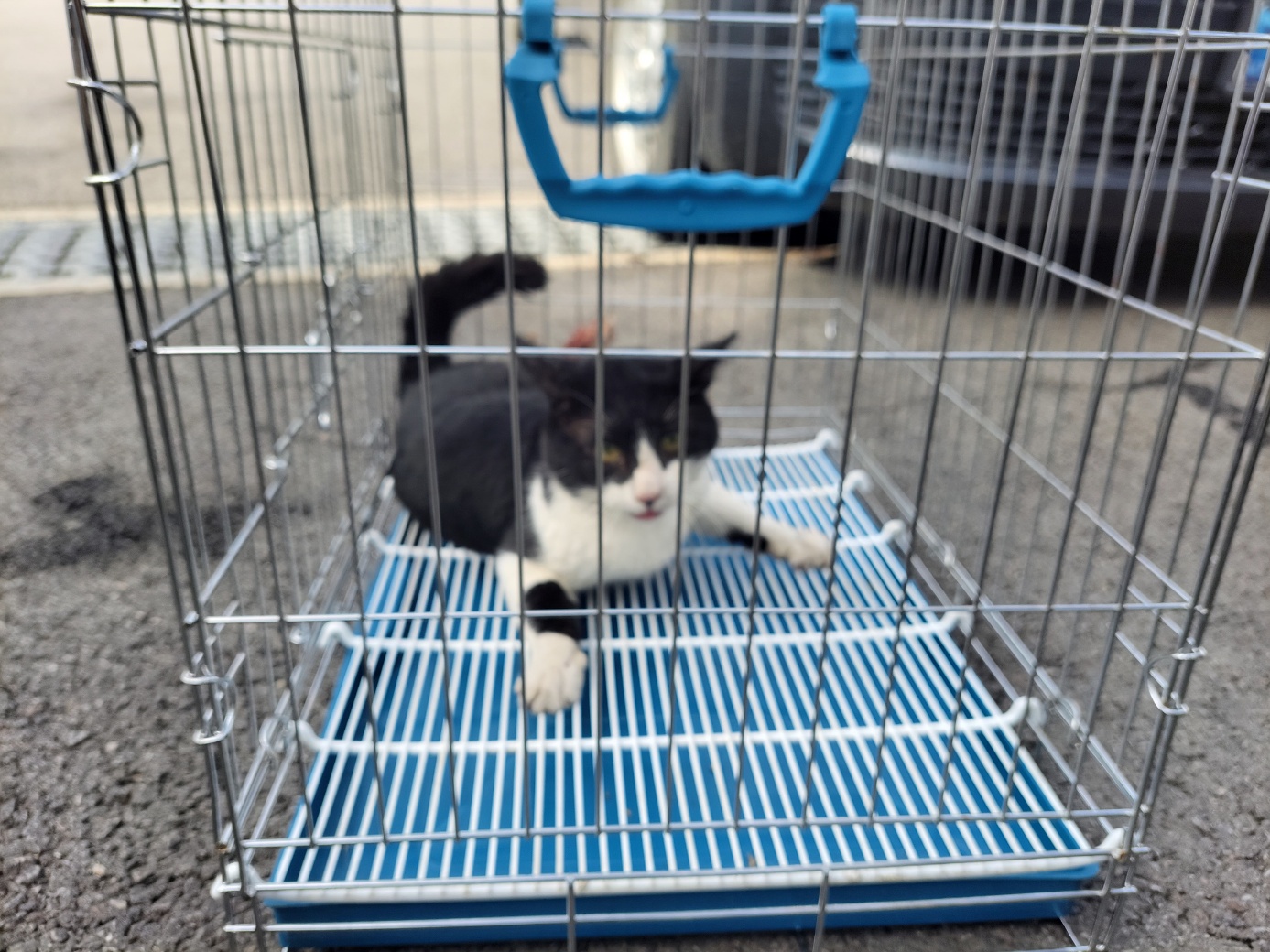 종료(자연사) 한국…